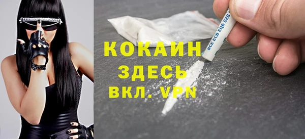 крисы Богородицк