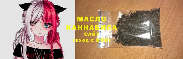 крисы Богородицк