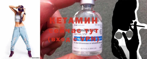 крисы Богородицк