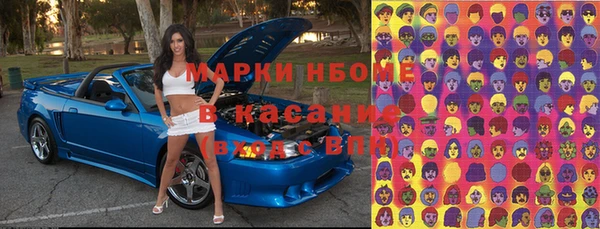крисы Богородицк