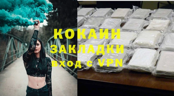 крисы Богородицк