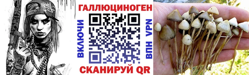 Псилоцибиновые грибы Psilocybine cubensis  ссылка на мегу ONION  Лесозаводск 